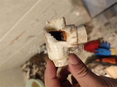 东郊镇自来水管道漏水检测