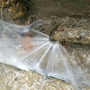 东郊镇消防管道漏水检测